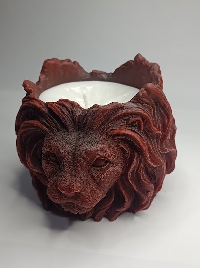 ASLAN MODEL 1