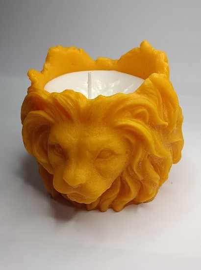 ASLAN MODEL 1