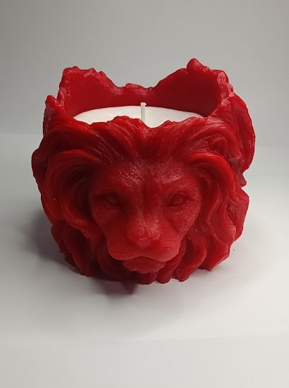 ASLAN MODEL 1