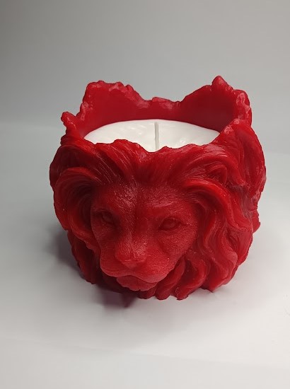 ASLAN MODEL 1