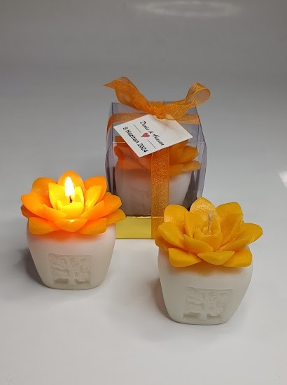 SUKULENT%20MUM%206%20MODELİ