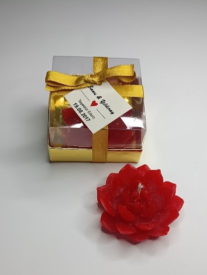 SUKULENT%20MUM%2010%20MODELİ