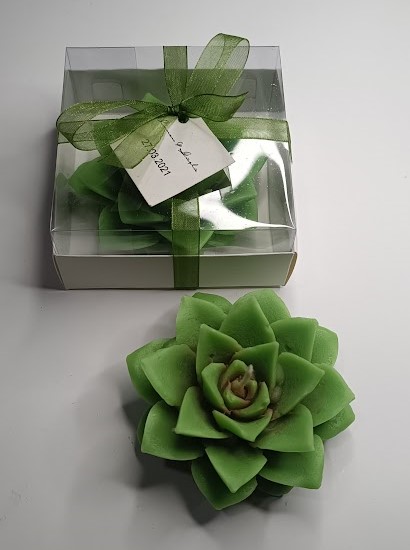 SUKULENT%20MUM%208%20MODELİ