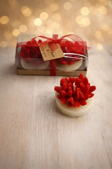 SUKULENT MUM 14 MODELİ İKİLİ SET