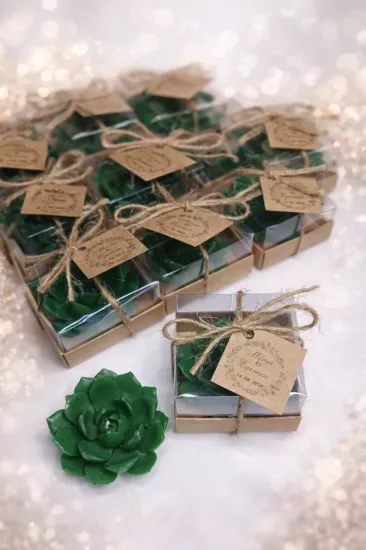 SUKULENT MUM 10 MODELİ