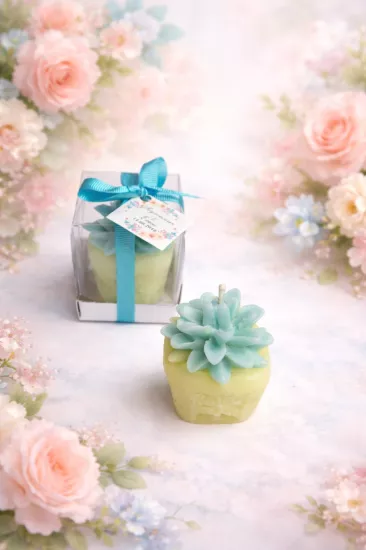 SUKULENT MUM 1 MODELİ