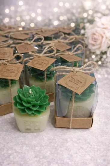 SUKULENT MUM 4 MODELİ