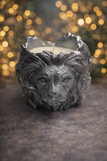 ASLAN MODEL 1 YALDIZ BOYALI