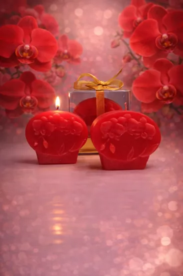 ORKİDE PHALAENOPSİS