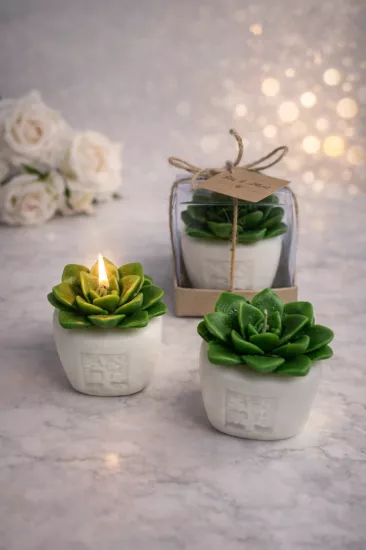 SUKULENT MUM 6 MODELİ