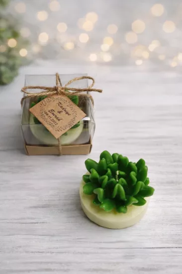 SUKULENT MUM 14 MODELİ