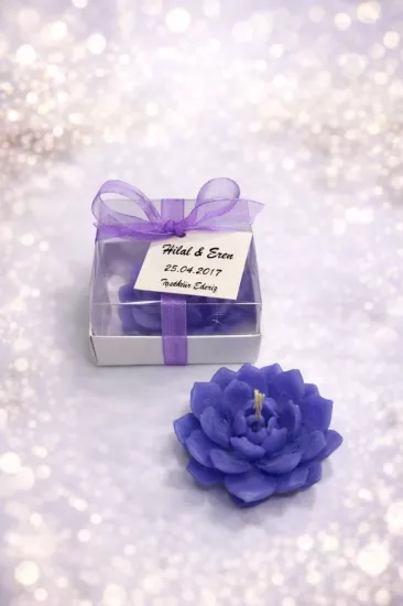 SUKULENT MUM 10 MODELİ