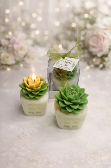 SUKULENT MUM 4 MODELİ