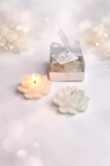 SUKULENT MUM 10 MODELİ