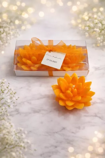 SUKULENT MUM 12 MODELİ İKİLİ SET