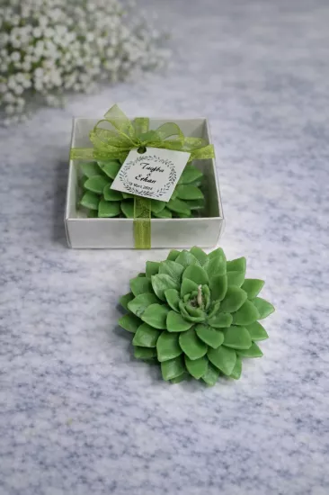 SUKULENT MUM 9 MODELİ