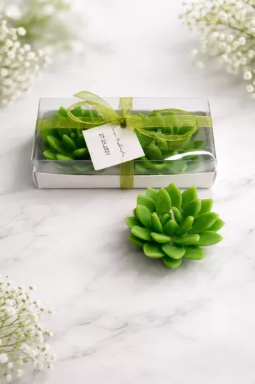 SUKULENT MUM 12 MODELİ İKİLİ SET