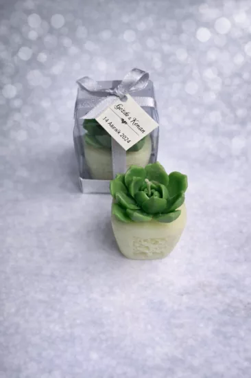 SUKULENT MUM 7 MODELİ