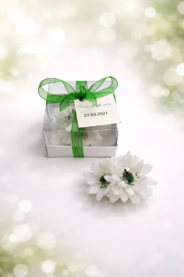 KRİZANTEM ÇİÇEĞİ YALDIZ BOYALI