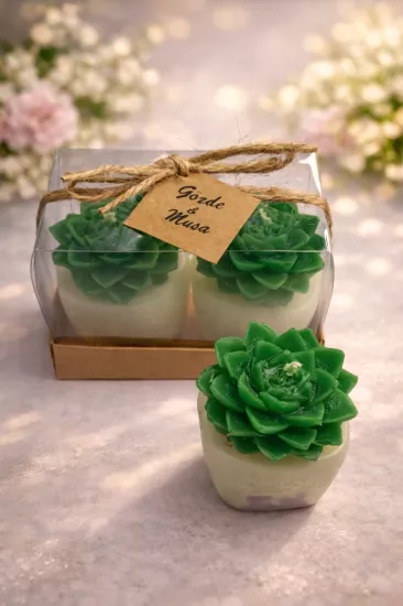 SUKULENT MUM 4 MODELİ İKİLİ SET