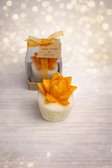 SUKULENT MUM 3 MODELİ