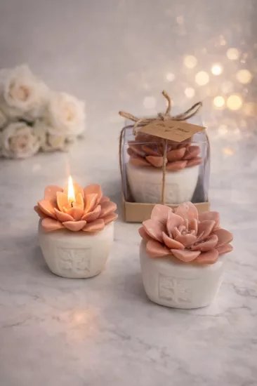 SUKULENT MUM 6 MODELİ