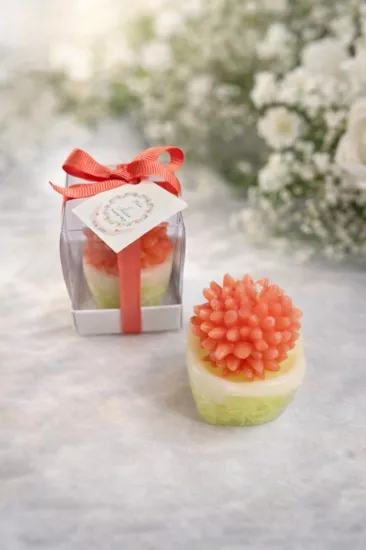 SUKULENT MUM 2 MODELİ