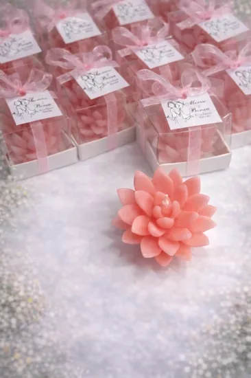 SUKULENT MUM 12 MODELİ