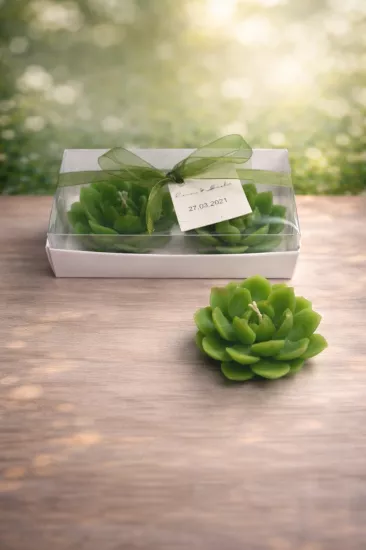 Sukulent Mum 10 Modeli – İkili Set Nikah Şekeri