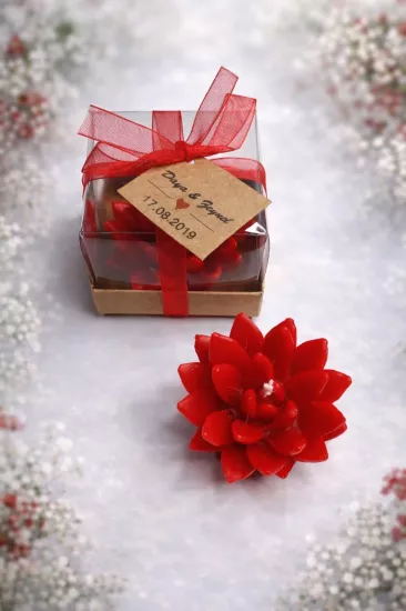 SUKULENT MUM 12 MODELİ