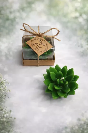 SUKULENT MUM 12 MODELİ