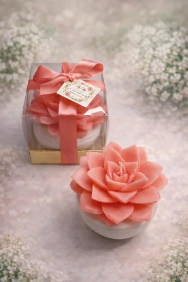 BÜYÜK BOY SUKULENT MUM EÇEVERYA