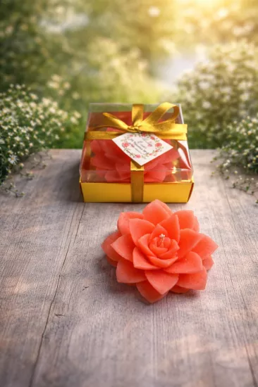 SUKULENT MUM 8 MODELİ