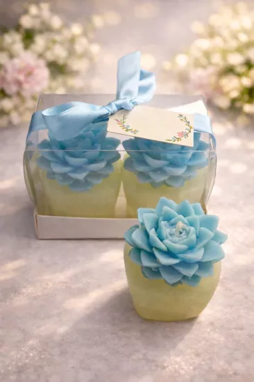 SUKULENT MUM 4 MODELİ İKİLİ SET