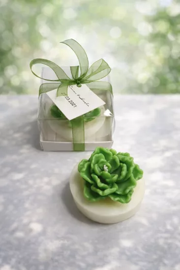 SUKULENT MUM 13 MODELİ