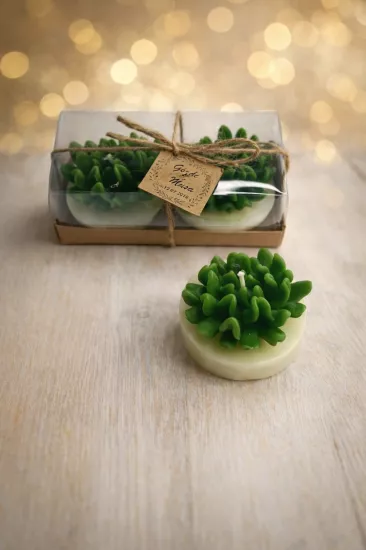 SUKULENT MUM 14 MODELİ İKİLİ SET