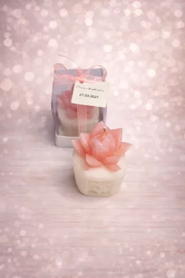 SUKULENT MUM 3 MODELİ