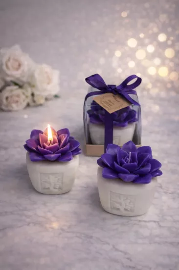 Sukulent Mum Nikah Şekeri | Mum Nikah Şekeri