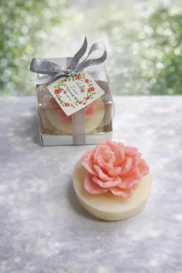 SUKULENT MUM 13 MODELİ