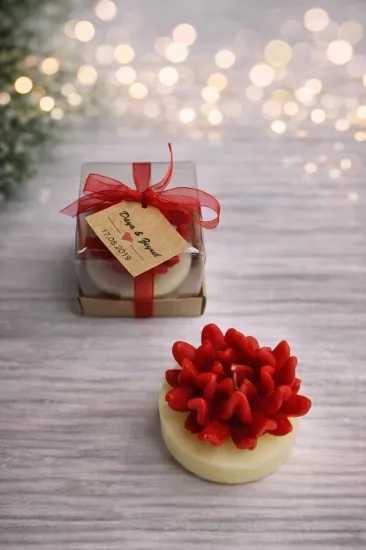 SUKULENT MUM 14 MODELİ