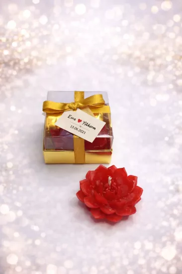 SUKULENT MUM 10 MODELİ