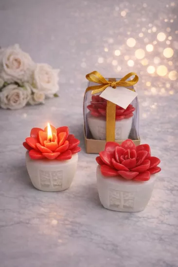  SUKULENT MUM 6 MODELİ