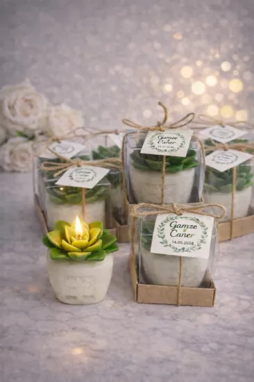 Sukulent Mum Nikah Şekeri | Mum Nikah Şekeri