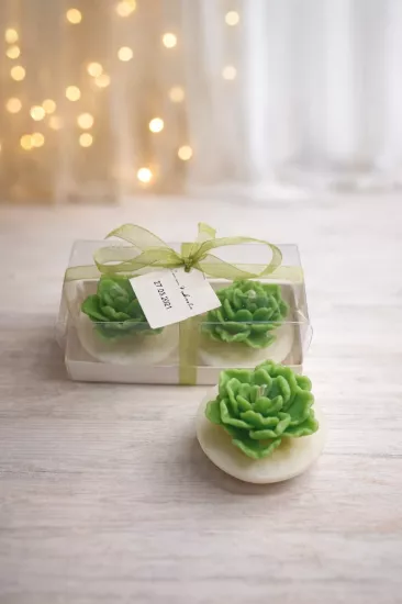 SUKULENT MUM 13 MODELİ İKİLİ SET