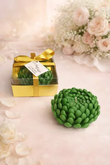 SUKULENT MUM 16 MODELİ