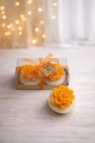 SUKULENT MUM 13 MODELİ İKİLİ SET