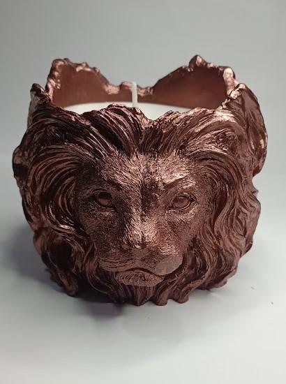 ASLAN MODEL 1 YALDIZ BOYALI
