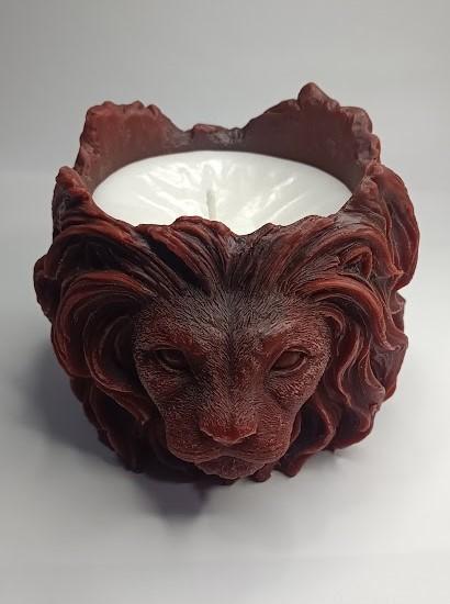 ASLAN MODEL 1