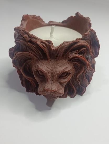 ASLAN MODEL 2